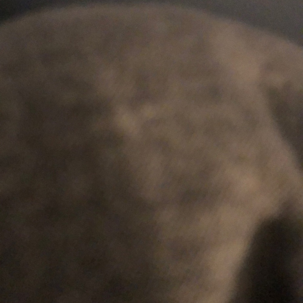 Meet your Posher, Jake